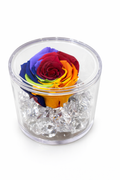 ROSA ETERNA ARCOBALENO