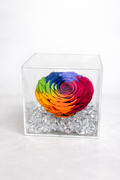 ROSA ETERNA ARCOBALENO