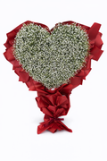 MAXY CUORE